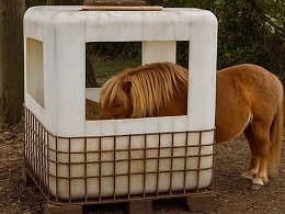 Different IBC Totes Uses