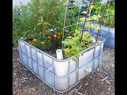 Different IBC Totes Uses