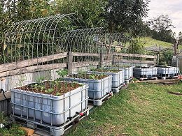 Different IBC Totes Uses